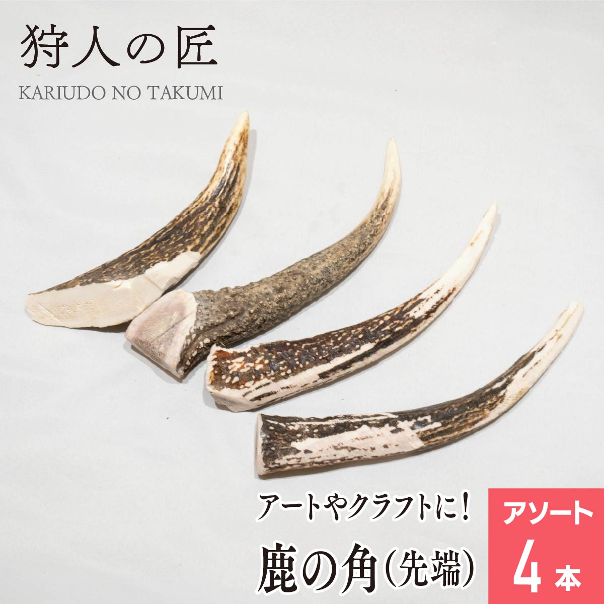 楽天市場】【訳あり】鹿の角 エゾシカの角 端材セット約1kg