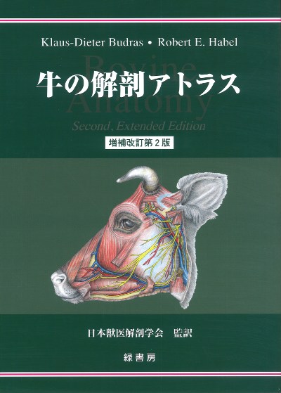 牛の解剖アトラス 増補改訂第2版』クラウス・ディーター・バドラス著他
