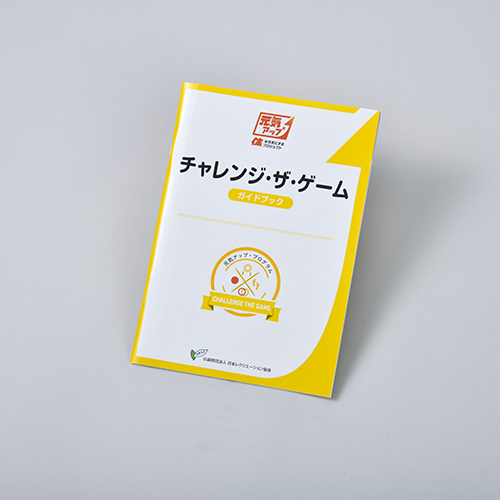 レクリエーションカタログ / チャレンジ・ザ・ゲーム ガイドブック