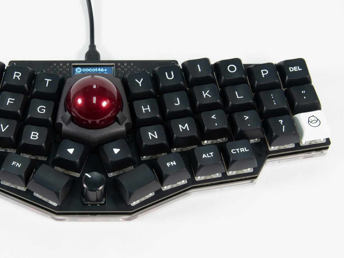 20230311-800_1200x.jpg?v=