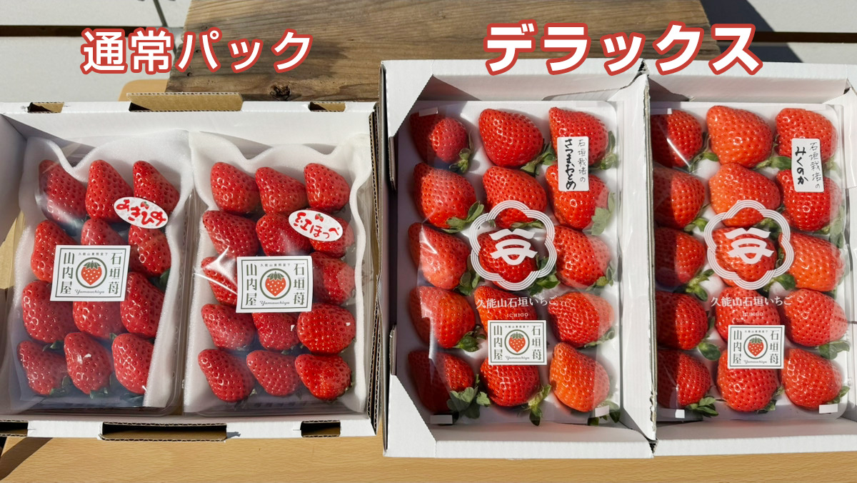 久能山石垣いちごデラックス（みくのか・さつまおとめ）【1～2箱セット