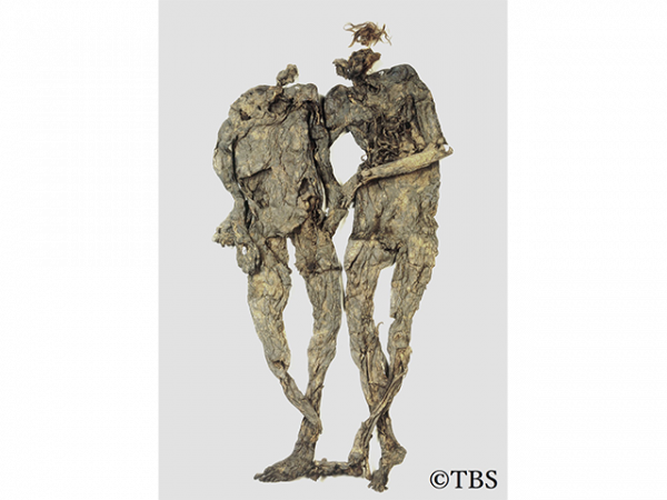 世界の43体が集結した『特別展 ミイラ～「永遠の命」を求めて