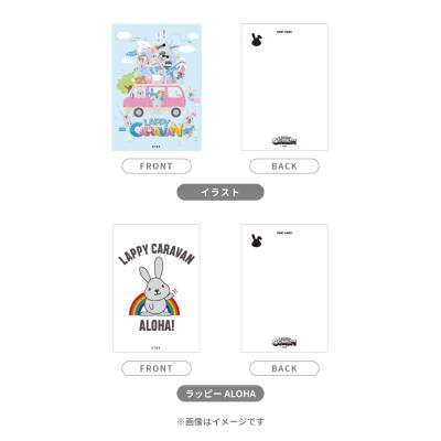 ファイトソング／DVD-BOX（TBSオリジナル特典付き・送料無料・6枚組