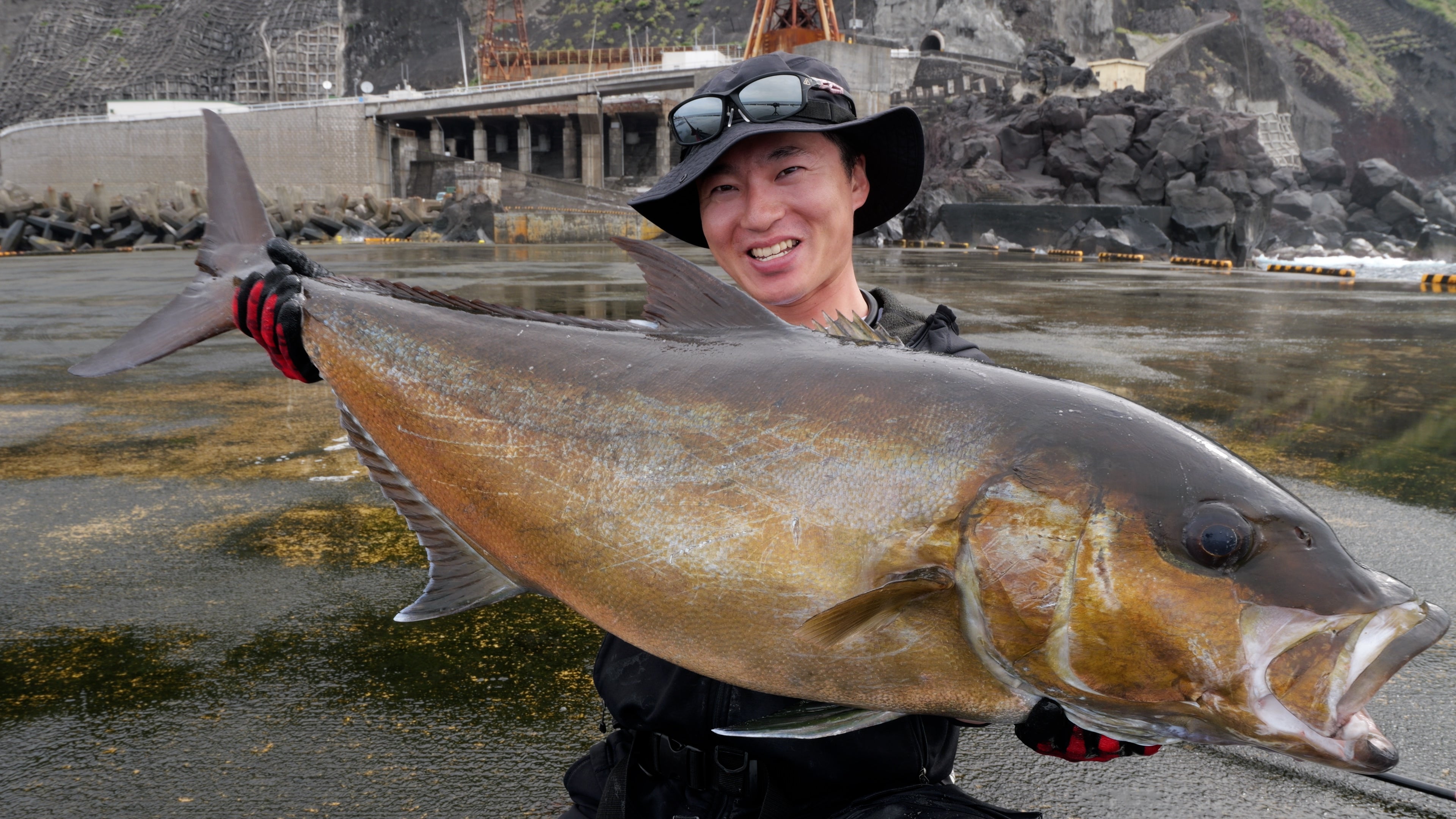 WILD SEEKER 453HH (ワイルドシーカー453HH)