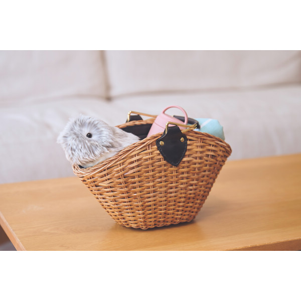 カシオ モフリンシルバー | シャディギフトモール