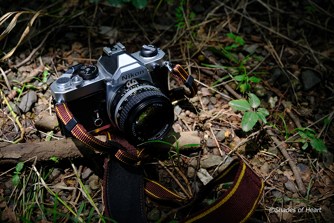Nikon FM (ニコンの歴史的名機) | Shades Of Heart