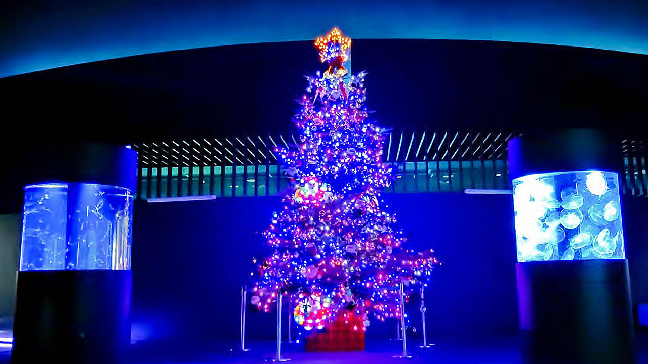 幻想的な空間を楽しむ。「マリンピア日本海 クリスマスツリー」展示