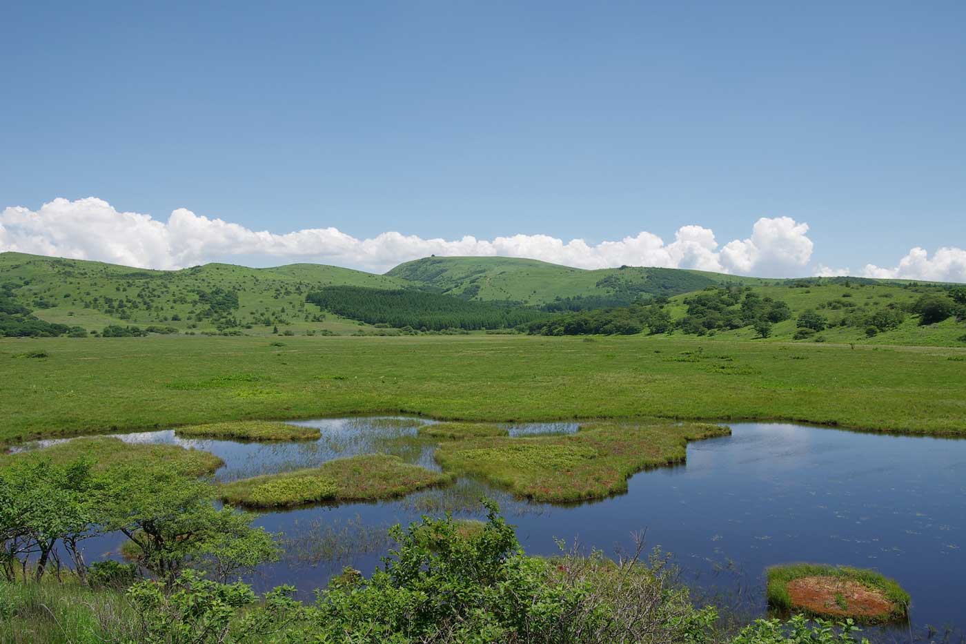 八島湿原 | 下諏訪温泉の公式ホームページ