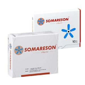 ソマレゾン 100個入 Lの通販なら5,000点以上の豊富な品揃えのメイプル
