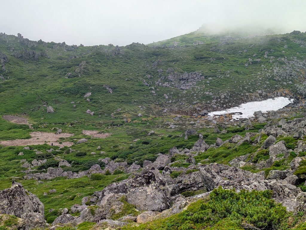 虹色 メタプラ 北海道 遠別 2025.5 採取 QS6000田原プロの会場に五十嵐