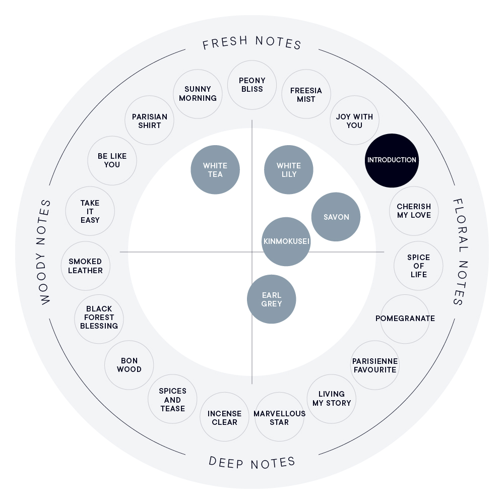 INTRODUCTION ハンド美容液 | SHIROオフィシャルサイト