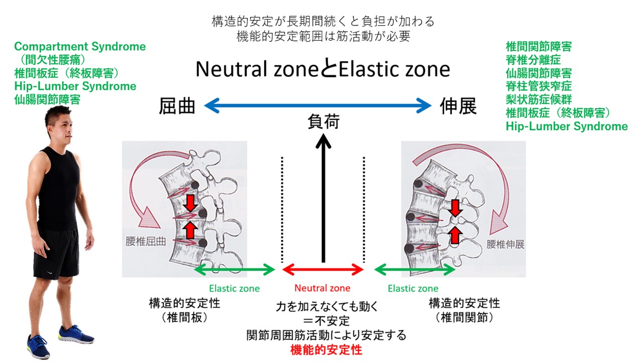 講演84「ケンダルの姿勢分類」