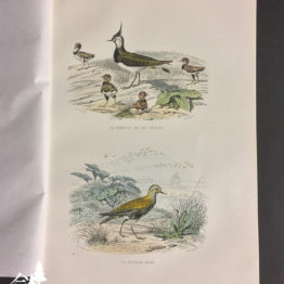 大西部物語/全10巻セット | 博物と古物の奇妙な雑貨店