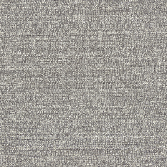 シンコール | ML1436 | 2023 MELODIA