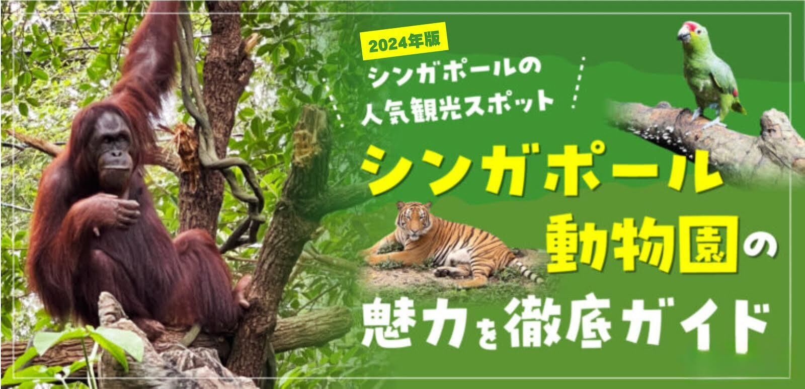 2024年版】シンガポールの人気観光スポット、「シンガポール動物園」の