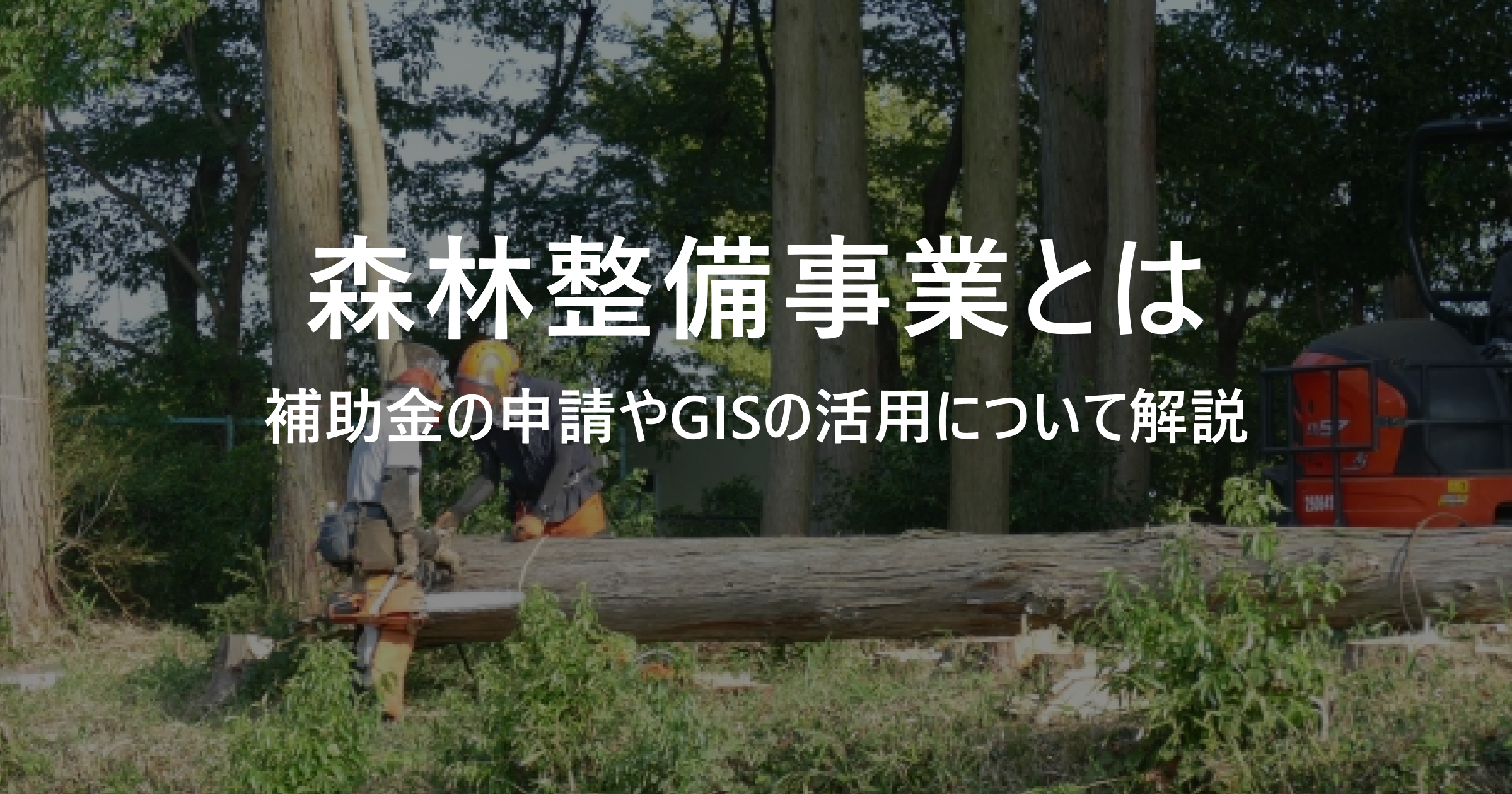 森林整備事業とは？補助金の申請やGISの活用について解説