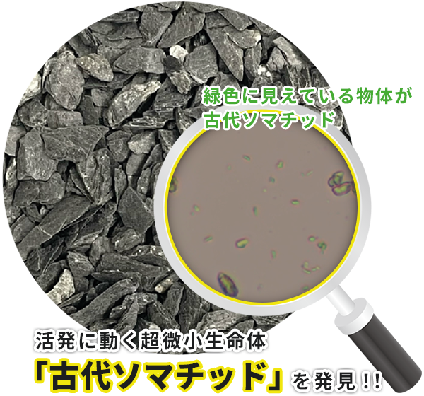 ソマチッドとは | 美容・健康に心強い鉱石 Somachi（ソマチ）「株式