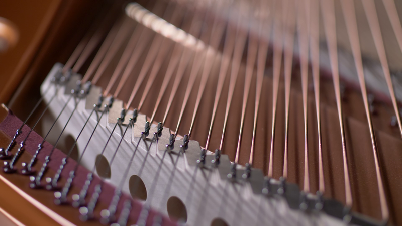 ソフト音源 「Boesendorfer Imperial Essentials」 | SONICWIRE