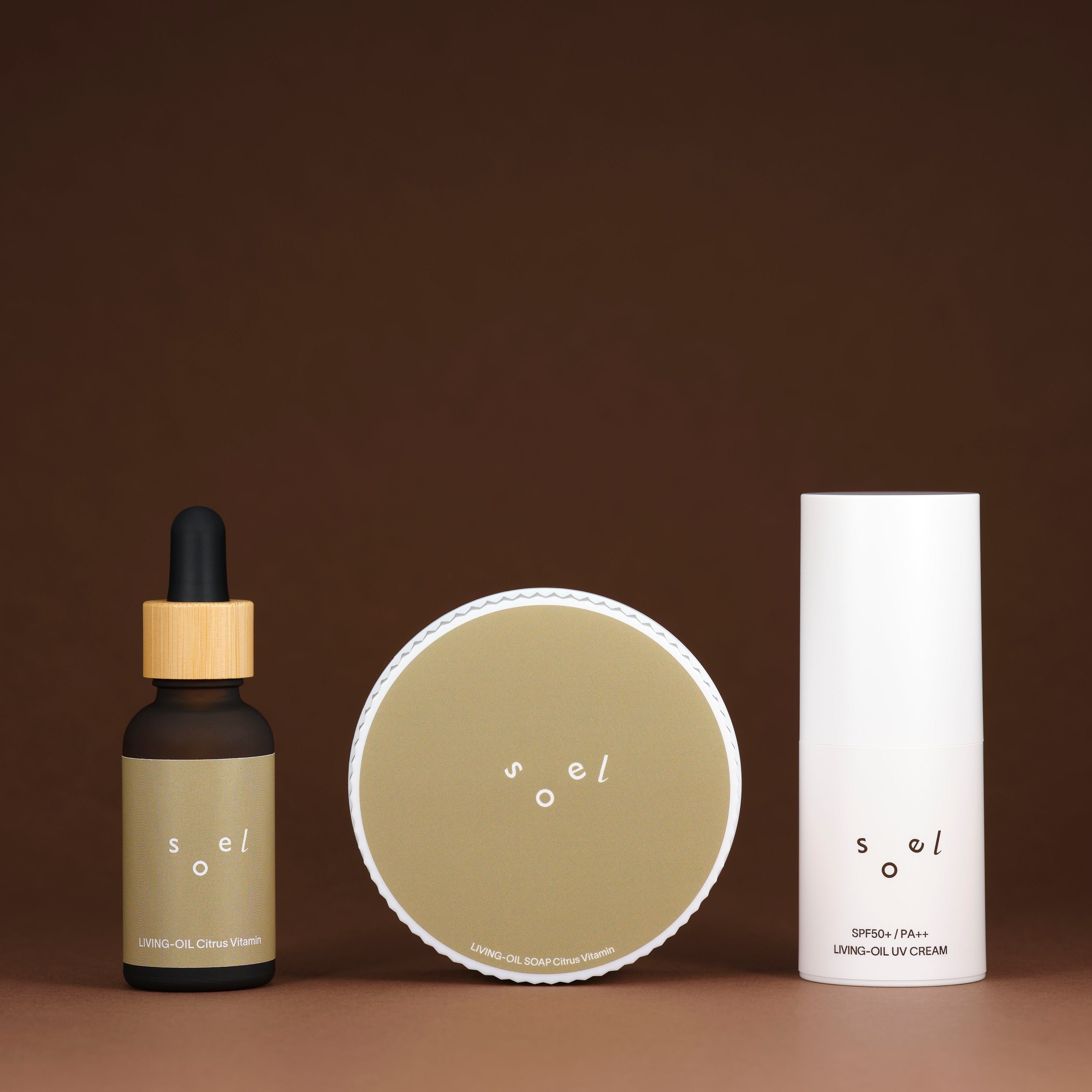 AMERI コラボレーション