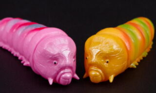 モスラ | sofvi.tokyo