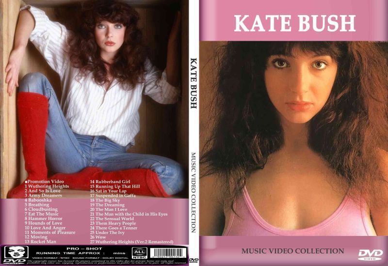☆ケイト・ブッシュ 全高画質プロモ集 Kate Bush DVD - souflesh 音楽工房