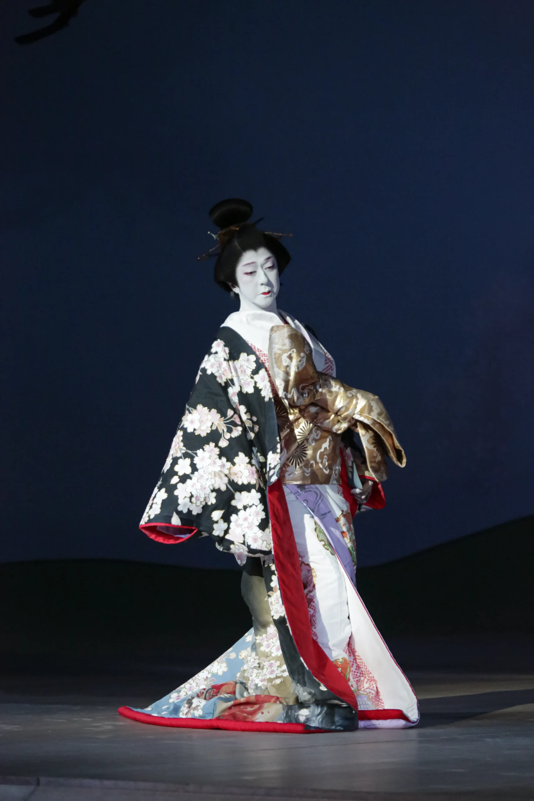 魂で魅せる江戸の華五代目坂東玉三郎丈 | 総合美 | エルビュー 公式WEB