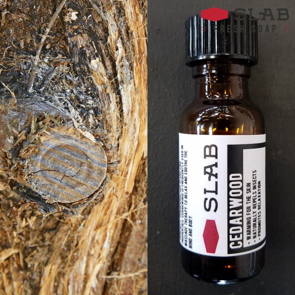 Benefits of Cedarwood Oil | Cedarwood Essential Oil | SLAB FRESH