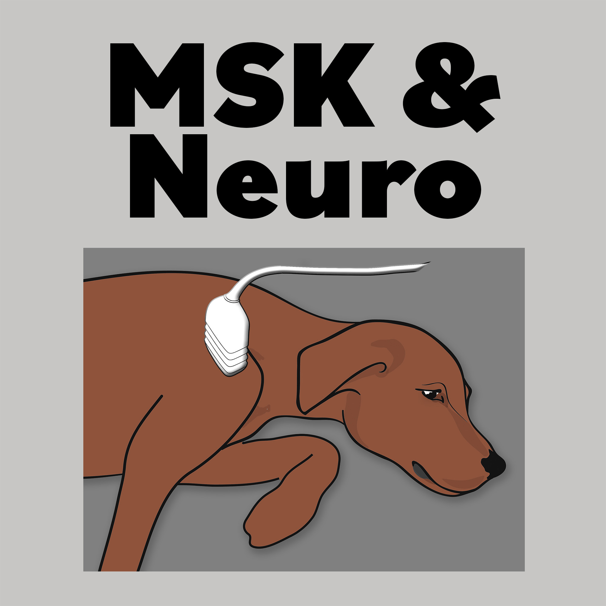 MSK and Neuro (Section 4 of Mastering Ultrasound) - Small Animal