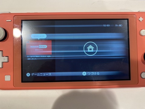 Switch＿lite】使用していたら突然液晶に線が入ってしまった