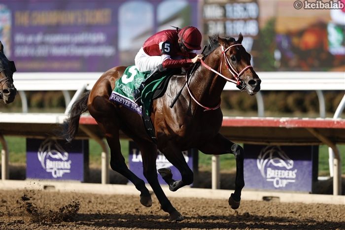 25年度の年度代表馬はフォーエバーヤング！歴史に新たな1ページ