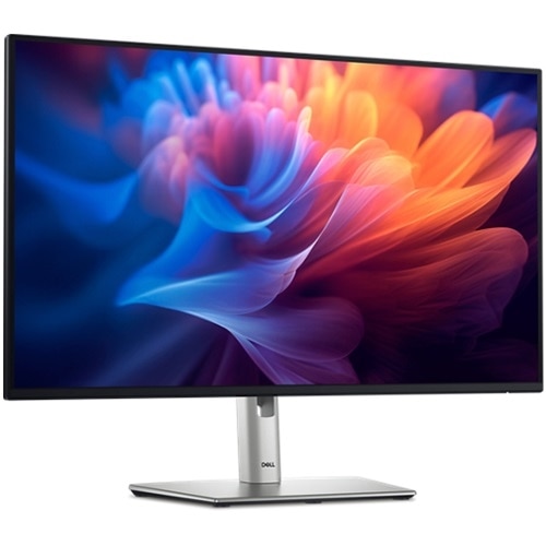 Dell Pro 24 Inch Plus FHD USB-C Monitor - P2425HE | Dell USA