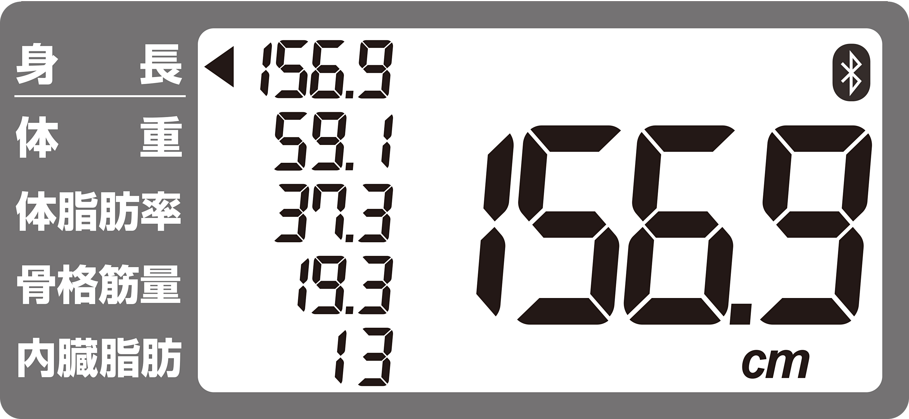 公式】InBody Dial H20