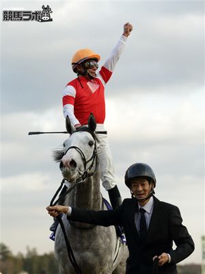 有馬記念】ラストランのゴールドシップ、ショウナンパンドラら20頭が