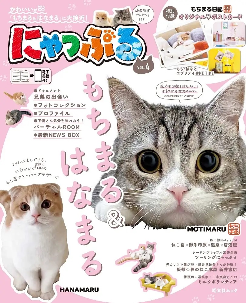 お知らせ- ねこ界のスーパーブラザーズ「もちまる＆はなまる」登場