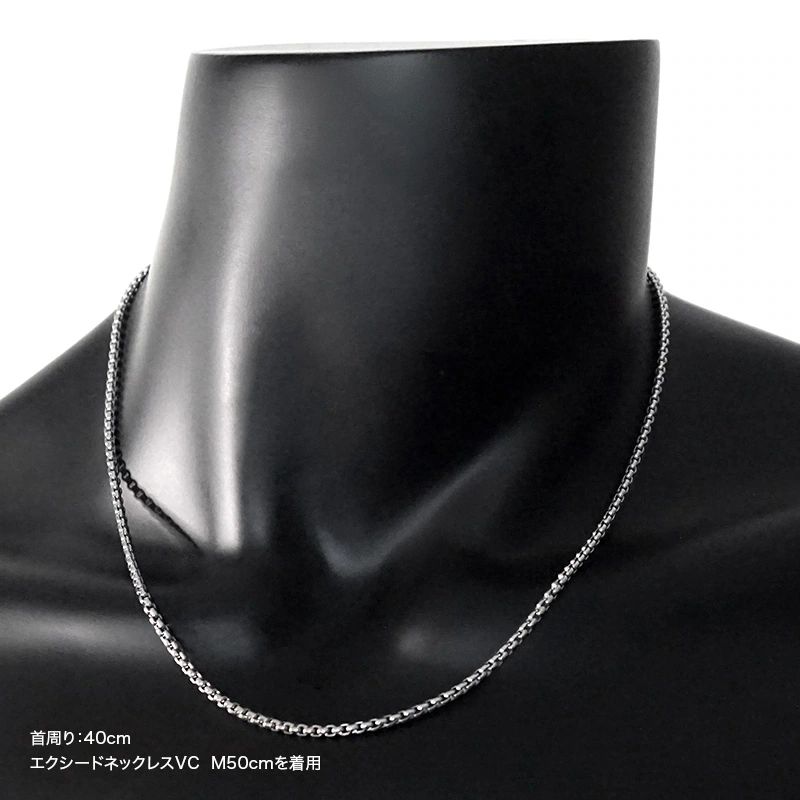 クリオ(CHRIO) スポーツネックレス エクシードネックレスVC | スポーツ