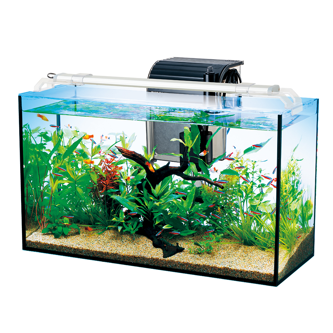 テトラ オールグラスアクアリウム520 熱帯魚セット｜観賞魚・水生生物