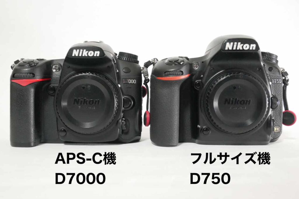 2025年でもおすすめできるフルサイズ一眼カメラ【NikonD750】 | スピカ
