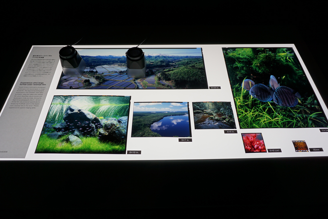 写真と水槽で体感する、大自然の美しさ 『天野尚 NATURE AQUARIUM展