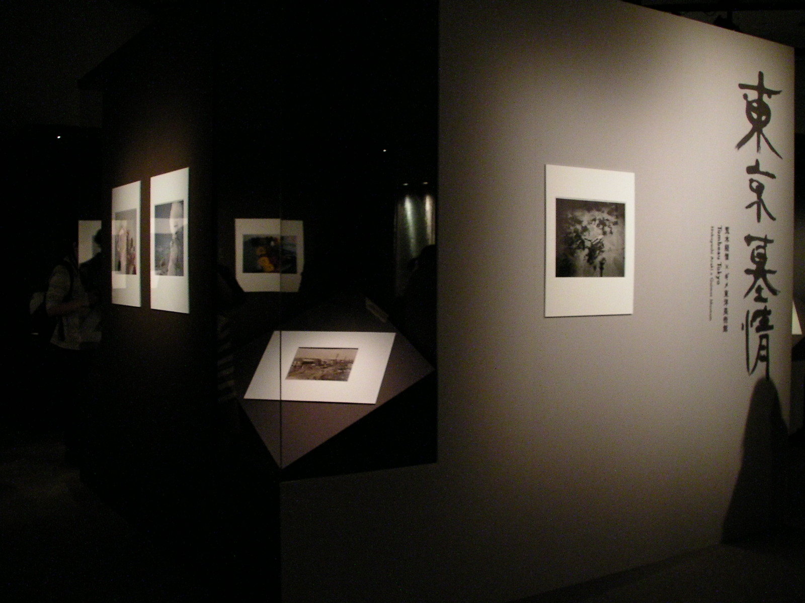 アラーキーが独自の死生観で生を激写する 『東京墓情 荒木経惟×ギメ