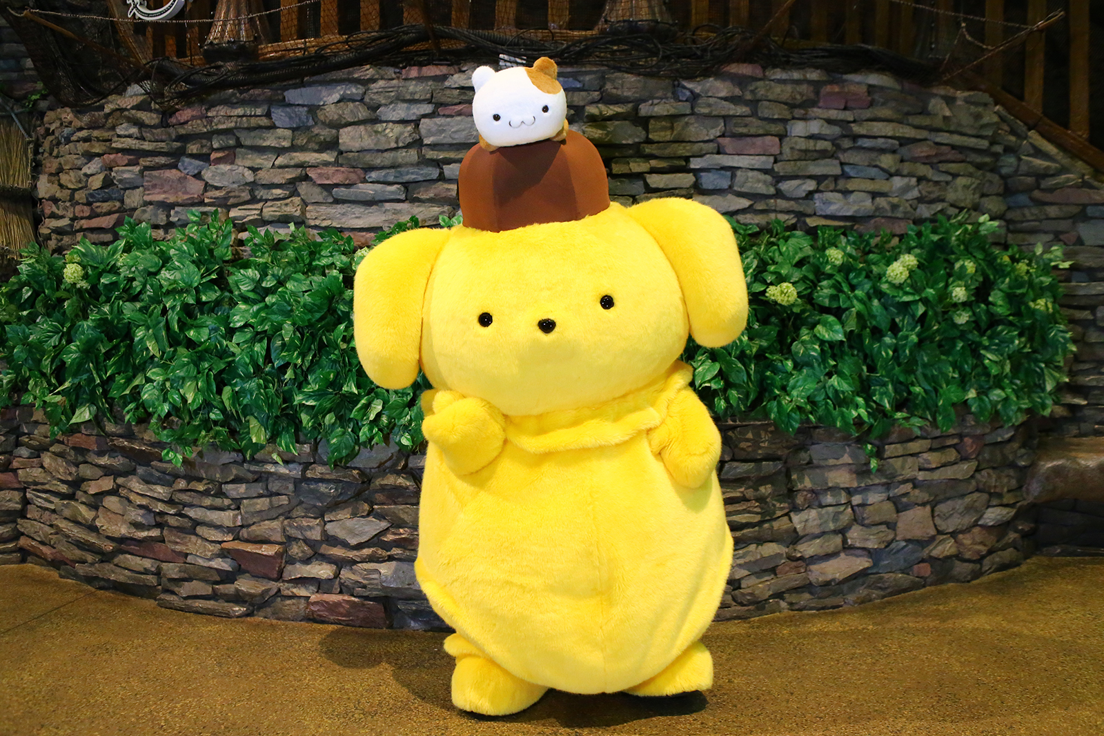 画像】ポムポムプリン誕生25周年、サンリオピューロランドでバースデー