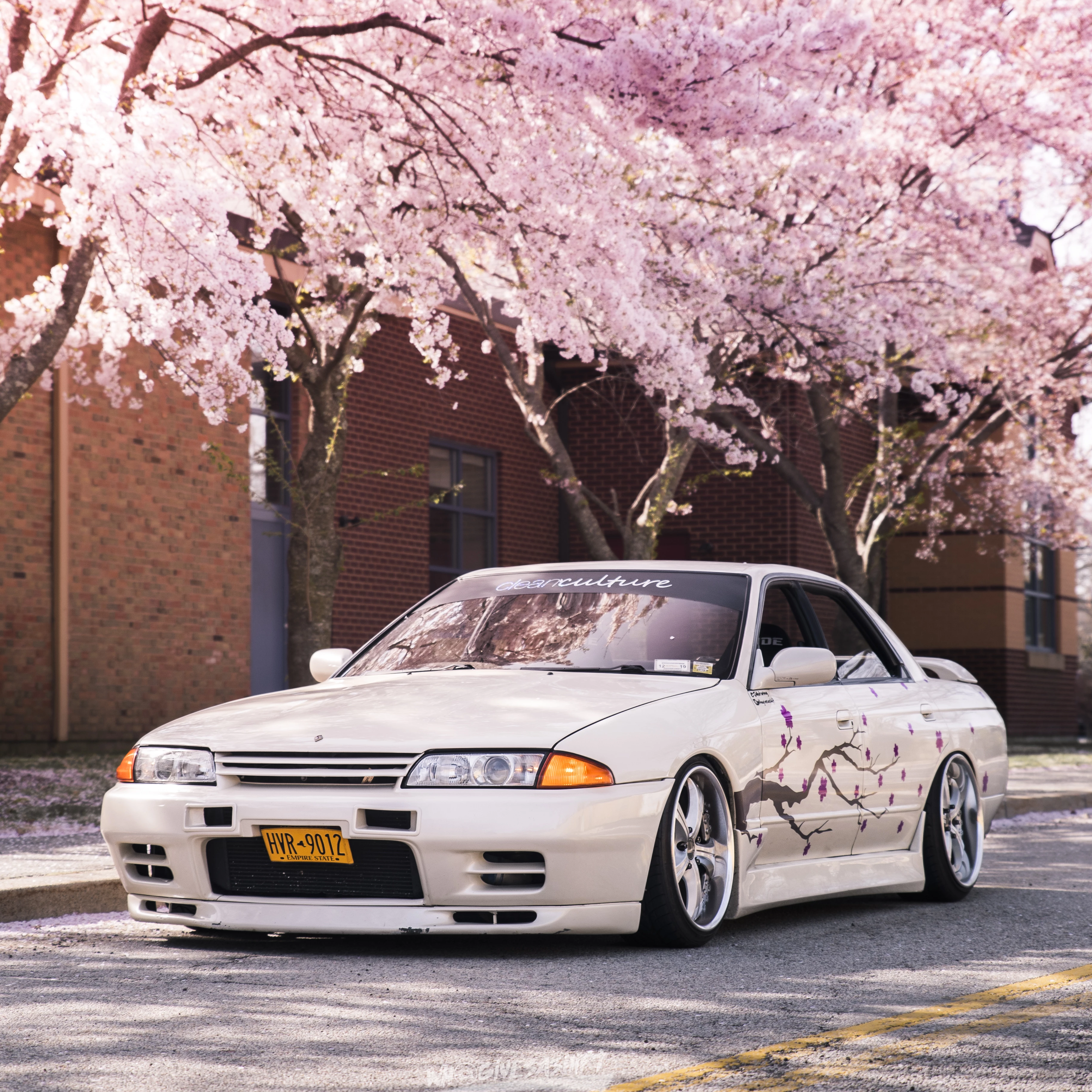 Original Die-Cut Sakura Tree Livery – Spinnywhoosh Graphics