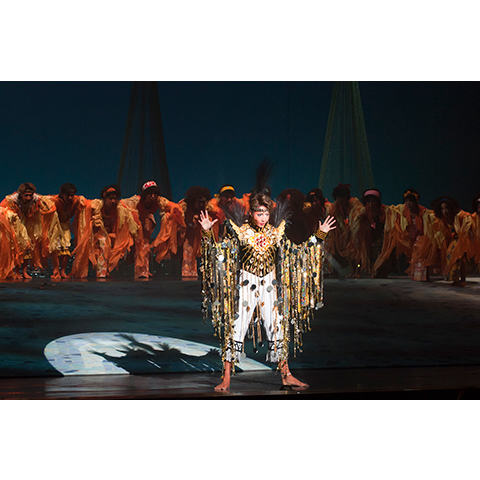 ノバ・ボサ・ノバ-盗まれたカルナバル-('11年星組・東京・千秋楽