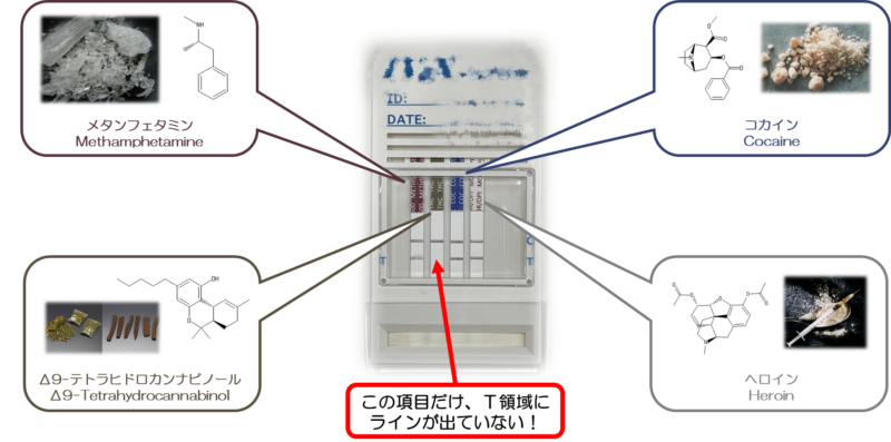 違法薬物に関する尿検査について | ブログ｜渋谷神泉こころの