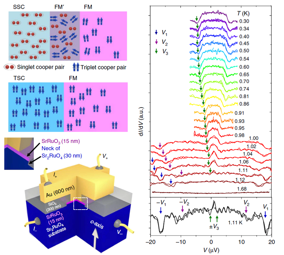 スピン三重項超伝導体Sr2RuO4から強磁性体SrRuO3へのスピン三重項超