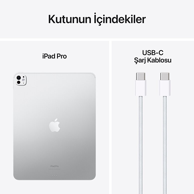 Apple 13 inç iPad Pro M4 WiFi 1TB Standard Cam Gümüş | Troyestore