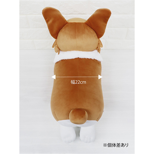 CDJapan : Yorushika LIVE 2024 