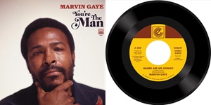 WHAT'S GOING ON (LP)/MARVIN GAYE/マーヴィン・ゲイ/2024年再プレス