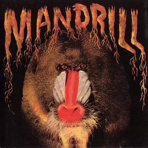 MANDRILL / マンドリル商品一覧｜LATIN/BRAZIL/WORLD MUSIC｜ディスク
