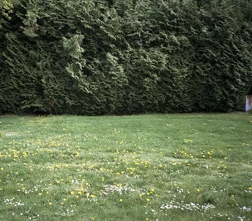 mitsume / ミツメ商品一覧｜ディスクユニオン・オンラインショップ