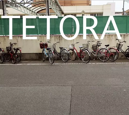 TETORA商品一覧｜JAPANESE ROCK・POPS / INDIES｜ディスクユニオン